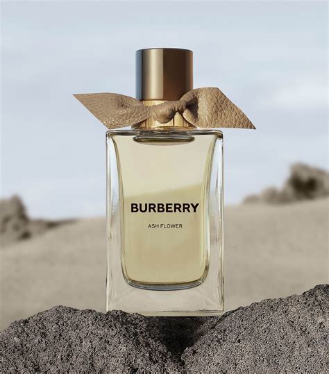 burberry dames geur
